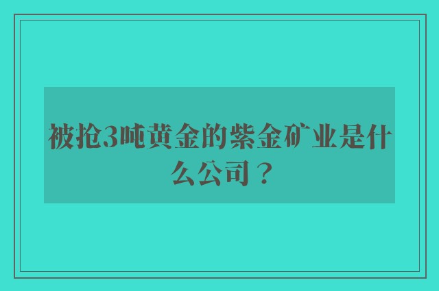 被抢3吨黄金的紫金矿业是什么公司？