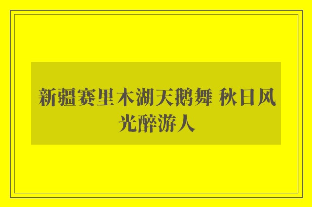 新疆赛里木湖天鹅舞 秋日风光醉游人