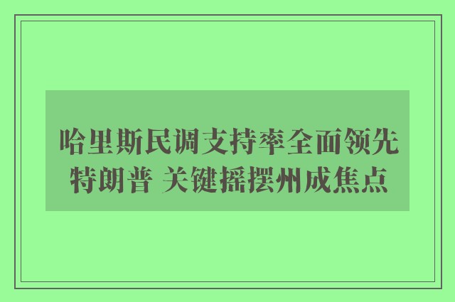 哈里斯民调支持率全面领先特朗普 关键摇摆州成焦点