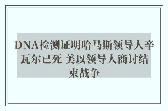 DNA检测证明哈马斯领导人辛瓦尔已死 美以领导人商讨结束战争