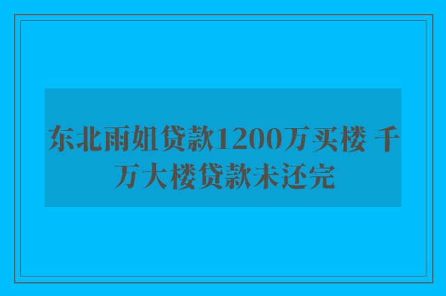 东北雨姐贷款1200万买楼 千万大楼贷款未还完