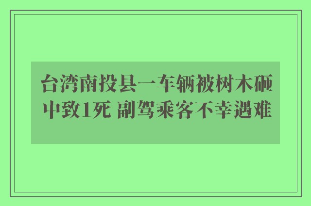 台湾南投县一车辆被树木砸中致1死 副驾乘客不幸遇难